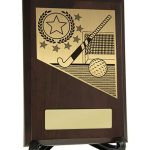 Plaque with Hockey Trim